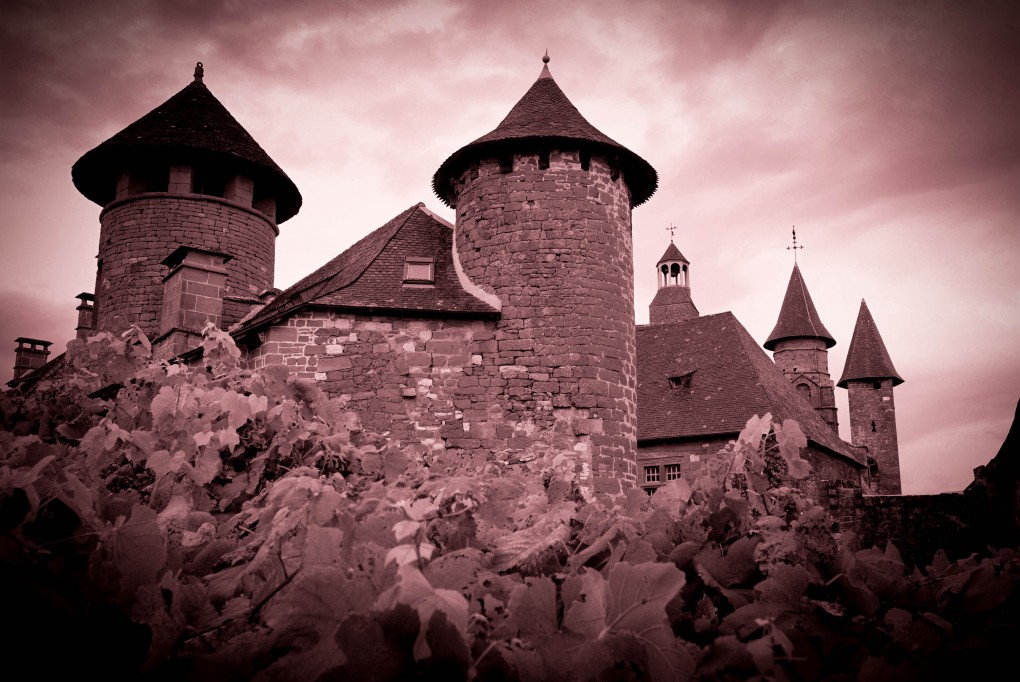 Collonges la Rouge Backdrop